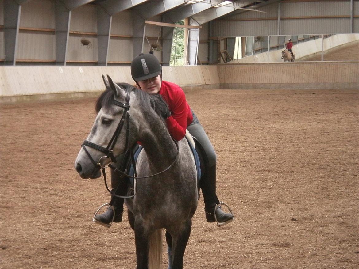 Anden særlig race Ready Teddy - Velkommen til min dejlige dreng Teddys´profil! 
1.års dag!:)
Foto:Mor billede 1