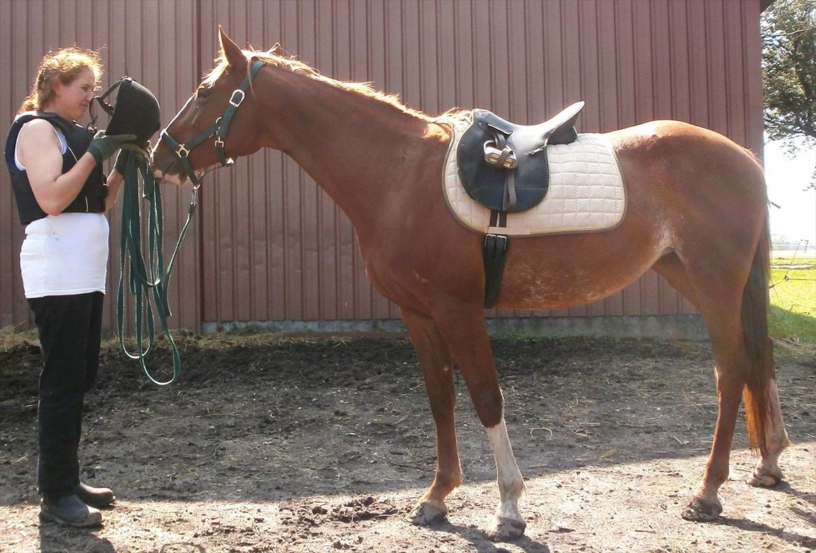 Frederiksborg Pricella - Mor og hendes prinsesse billede 12