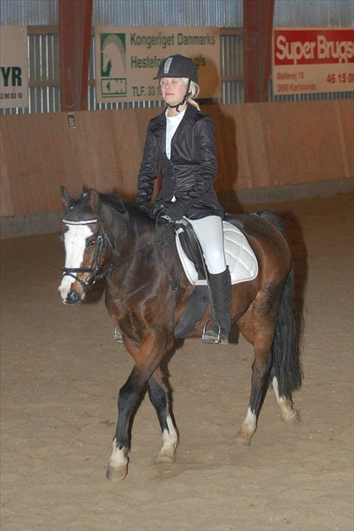 Anden særlig race Smukke billede 5