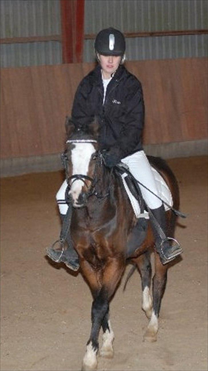 Anden særlig race Smukke billede 6