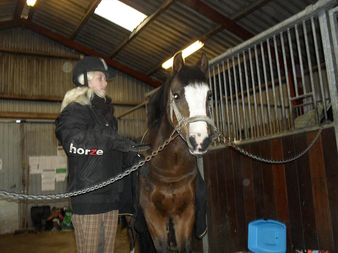 Anden særlig race Smukke billede 7