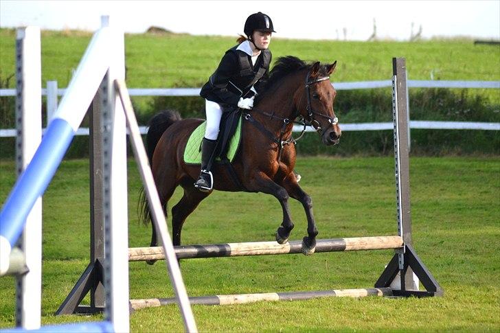 Anden særlig race Anja billede 5