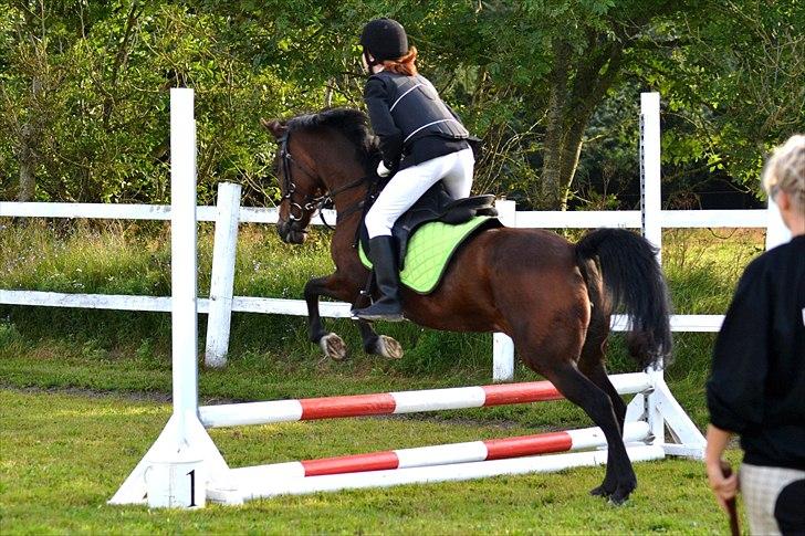 Anden særlig race Anja billede 4