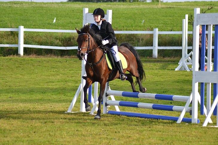 Anden særlig race Anja billede 6