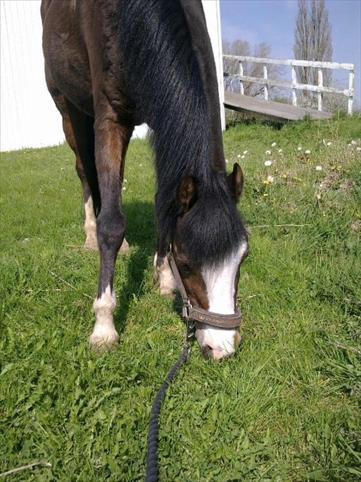 Anden særlig race Smukke - Altid så søøøød!!! <3

- Jeg elsker dig bare så meget!!:* billede 9