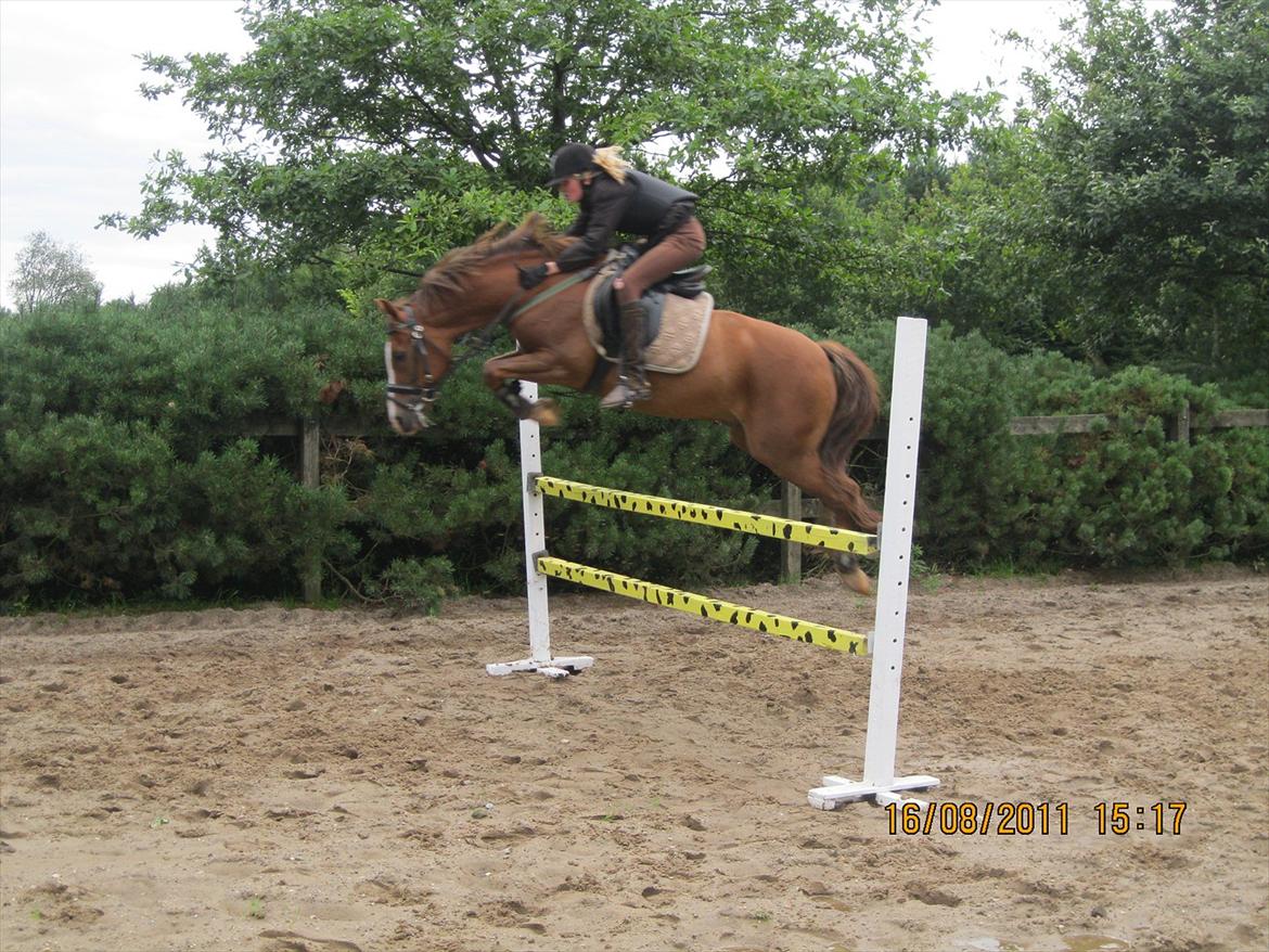 Anden særlig race Røde/Taz - Røde og jeg på Giraffen. Et fedt spring var det, han var bare så dejlig. 
Springet er 1 meter. Og 15 cm. er han i hvert faldt over det. Men over kom vi ;-) billede 8
