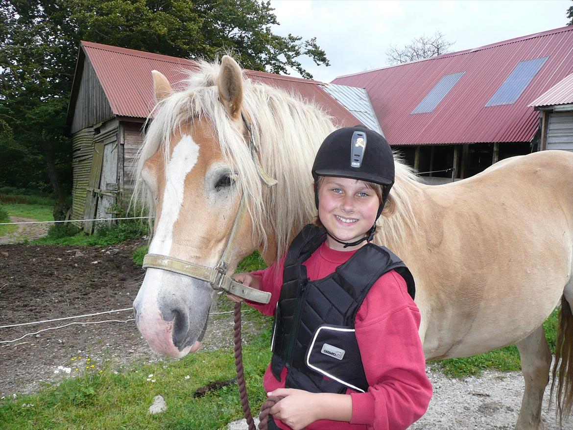 Haflinger Nemo Soldal - Et af de første billeder af Nemo og jeg :) billede 11