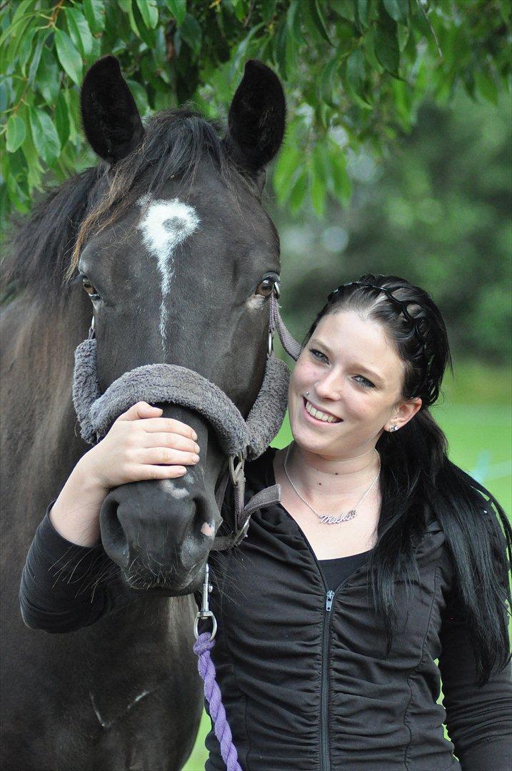 Oldenborg Schooting Star | DRØMMEHESTEN | R.I.P ):<3 - 6: You belong with me!! Fotograf : Heidi Jensen  billede 17