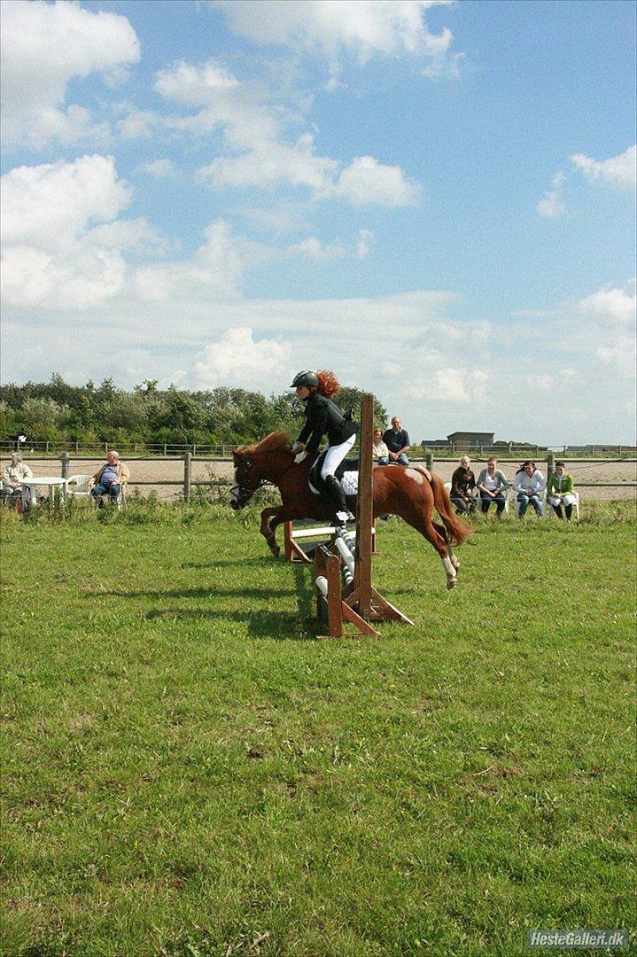Anden særlig race Daisy - mitalt.<3 - Farmland Cup, Hedensted. LC - 4 fejl. 20/08 - 2011. Foto - Helle Nielsen. billede 5