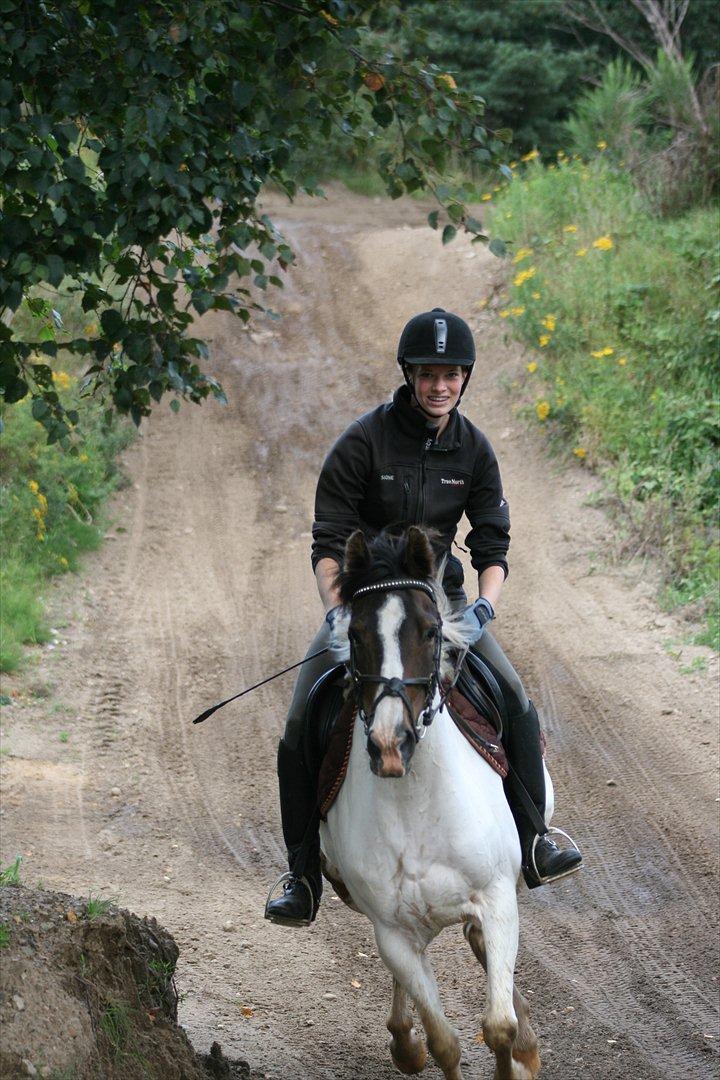 Pinto Duchess R.I.P. - på vej op af en bakke på cross banen ;) hun elsker det! <3 Dato: 20-08-11 Foto: Maja billede 11