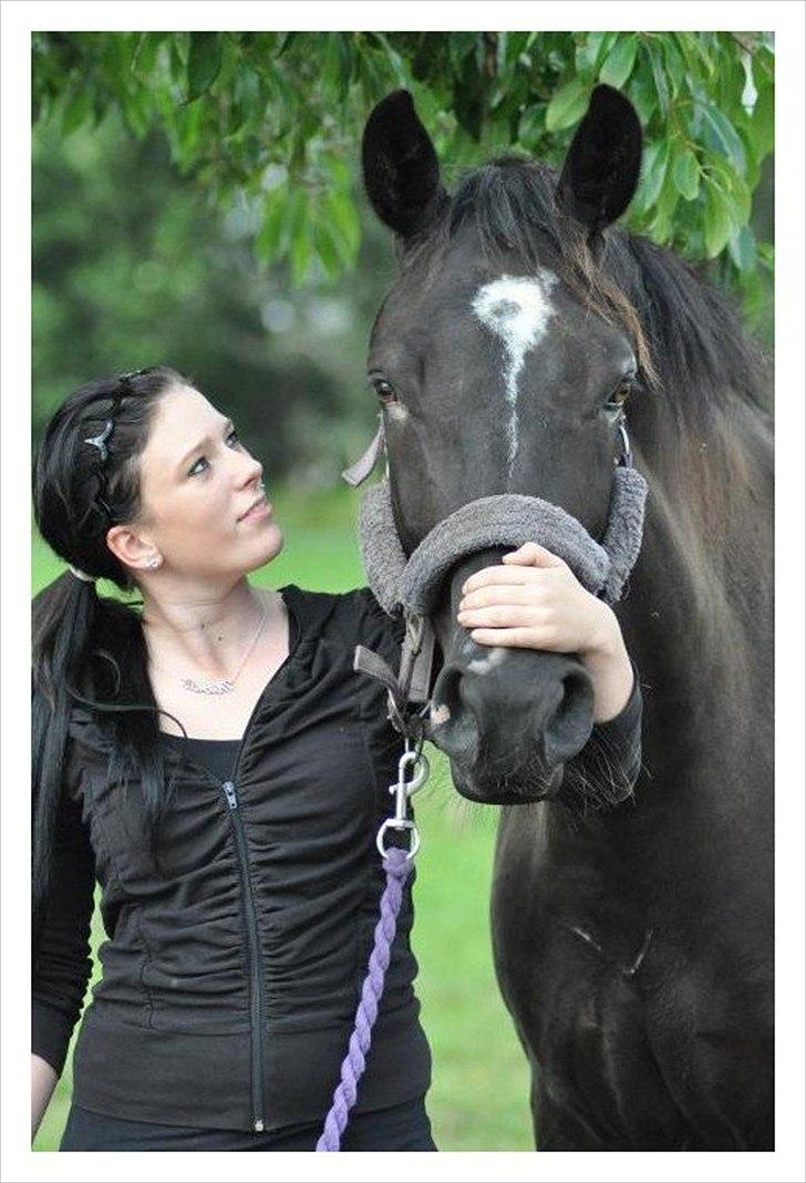 Oldenborg Schooting Star | DRØMMEHESTEN | R.I.P ):<3 - 13: Fotograf : Heidi Jensen billede 10