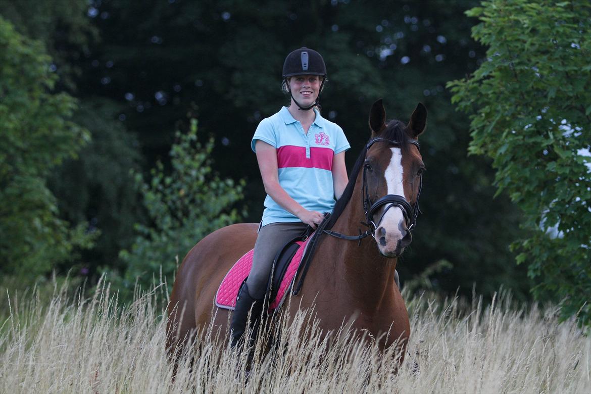 Hannoveraner Little Miss Lesly billede 10