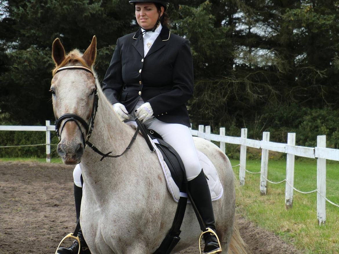 Anden særlig race Tempo Max - Til stævne i VROR billede 19