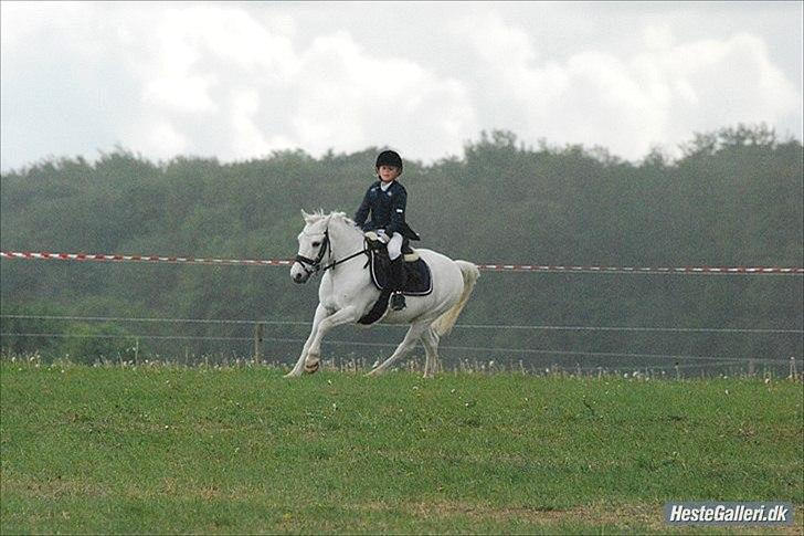 Anden særlig race Flying Snow (solgt 10/2-12) billede 20