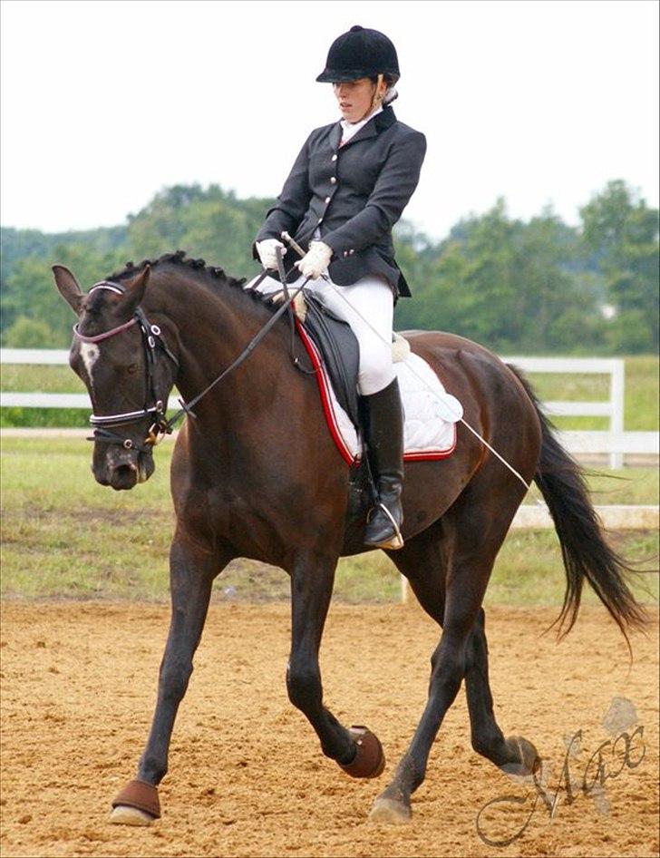 Oldenborg Schooting Star | DRØMMEHESTEN | R.I.P ):<3 - 16: Stævne i Hodsager rideklub 
Fotograf : Tina Feldtmose billede 14