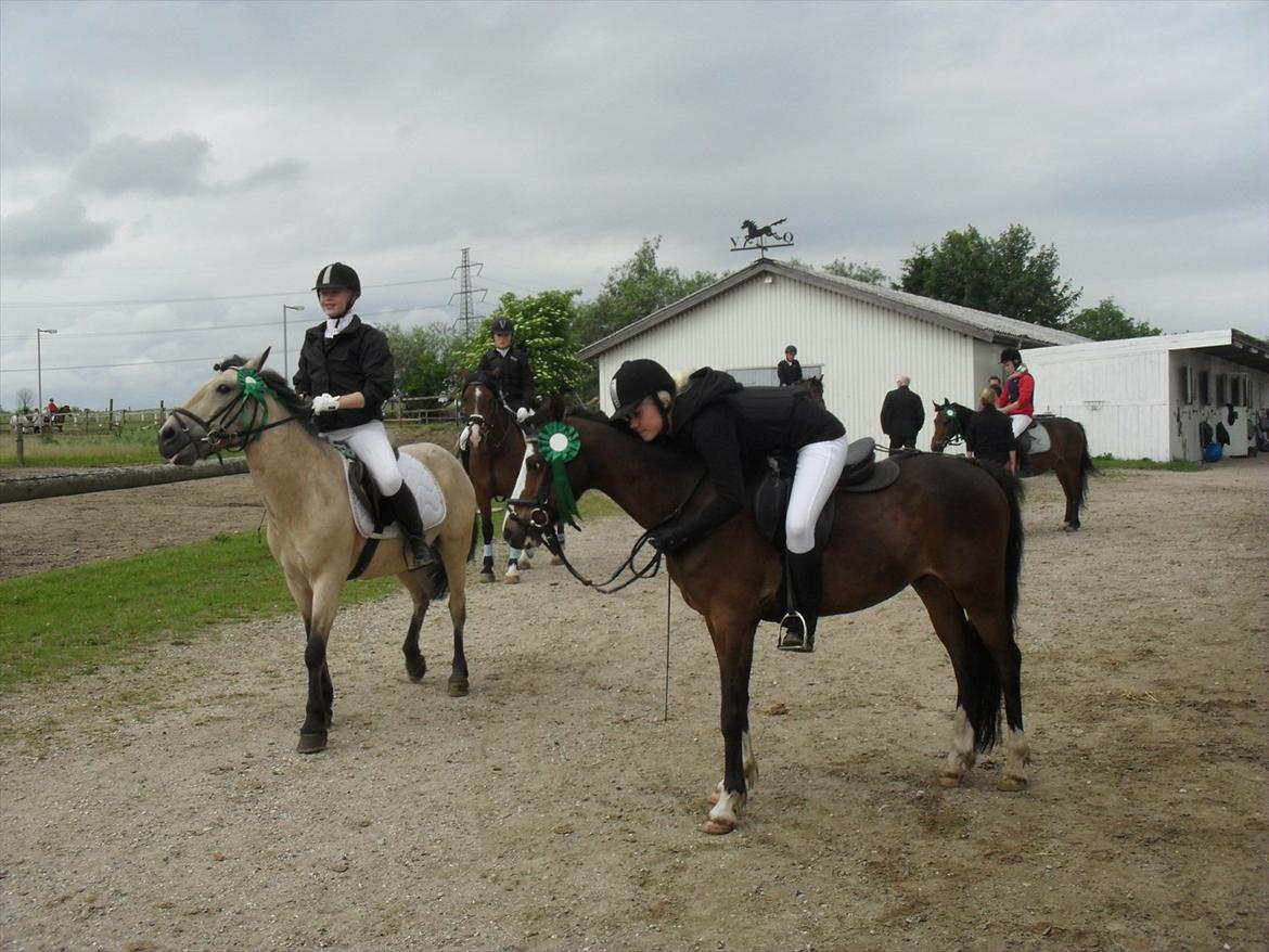 Anden særlig race Smukke billede 11