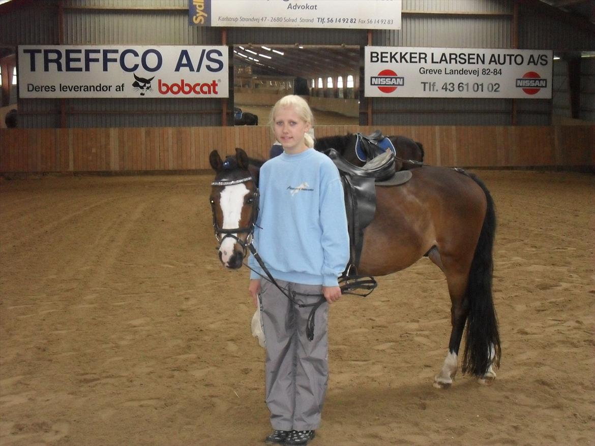 Anden særlig race Smukke billede 12