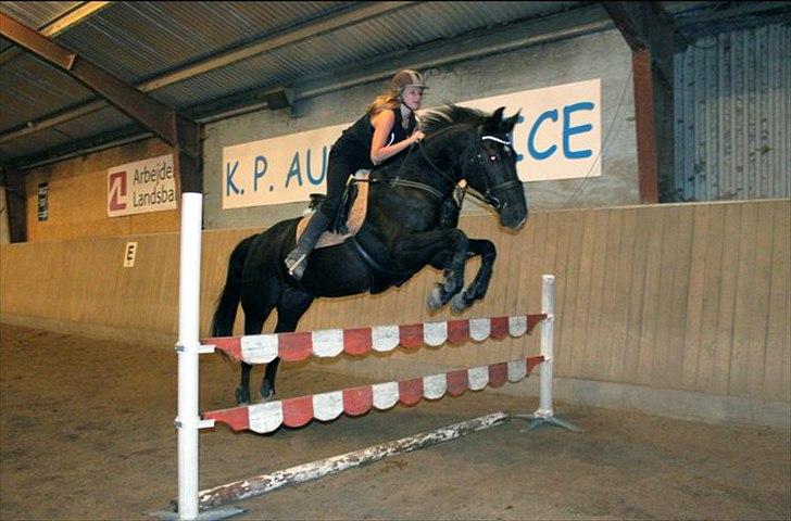 Oldenborg Felix - 1 meter :) billede 4