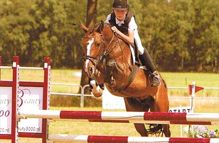 New Forest Equile's Maurita - Søde, dygtige Maurita med sin gamle ejer :) billede 6