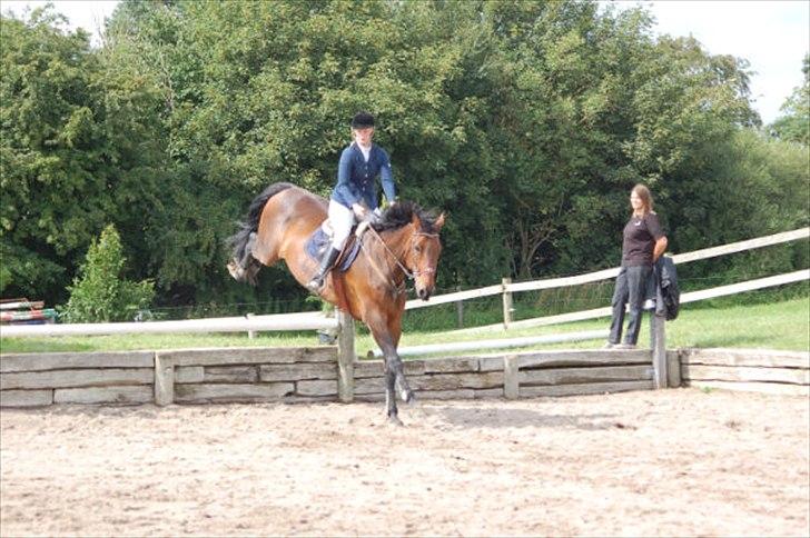 Holstener Miserable billede 17