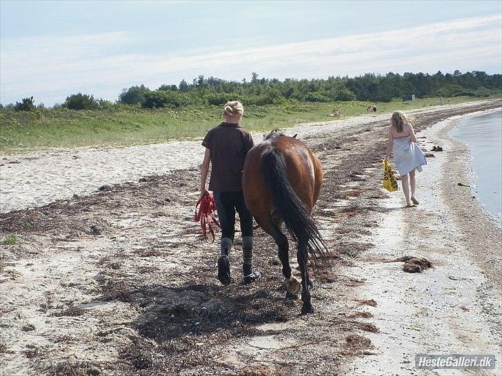 Anden særlig race Bakkelys Lucky Lady<3 - Når enderne er gode er alting jo godt:-D billede 17