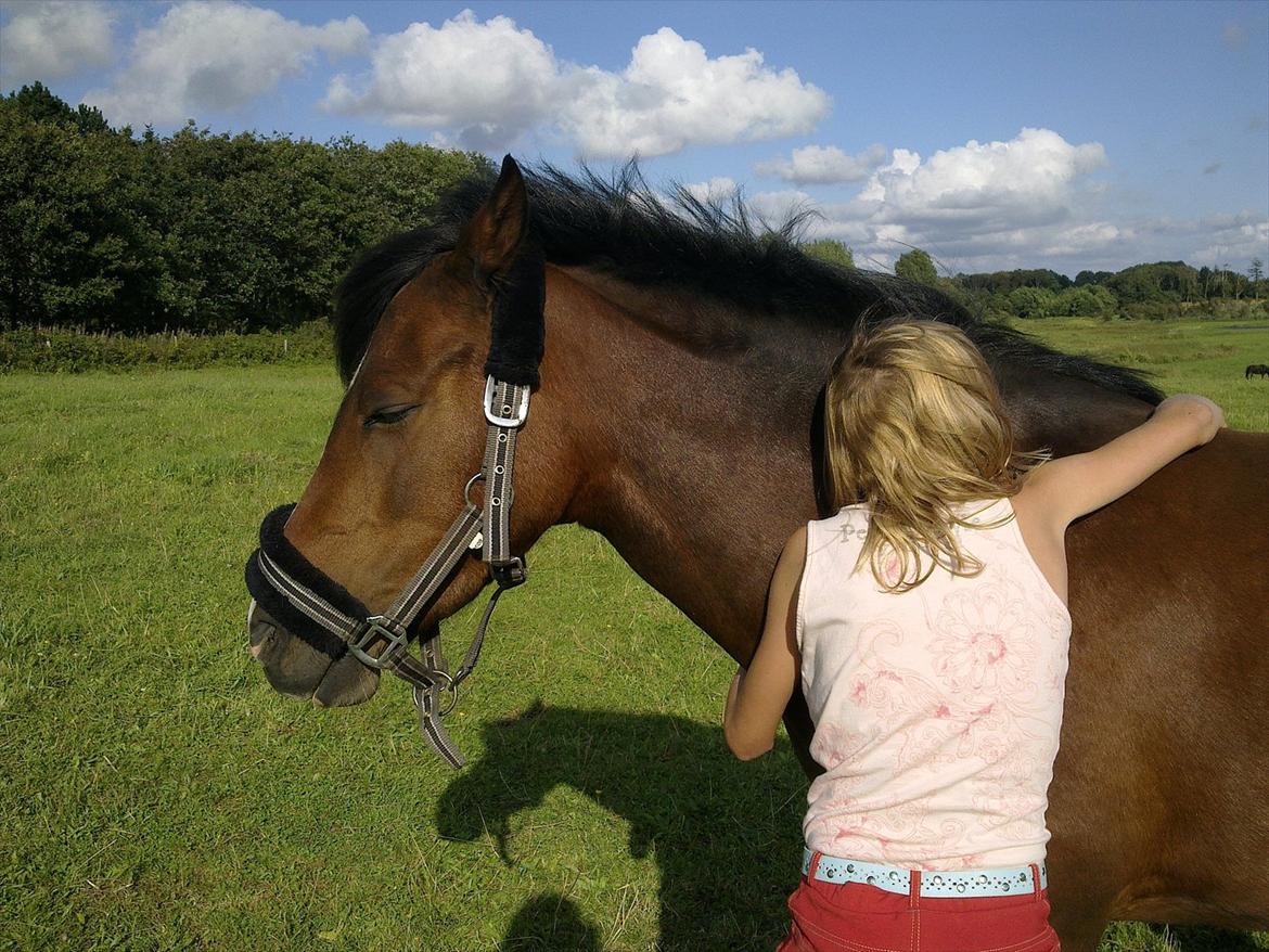 Anden særlig race Bakkelys Lucky Lady<3 - <3 billede 8