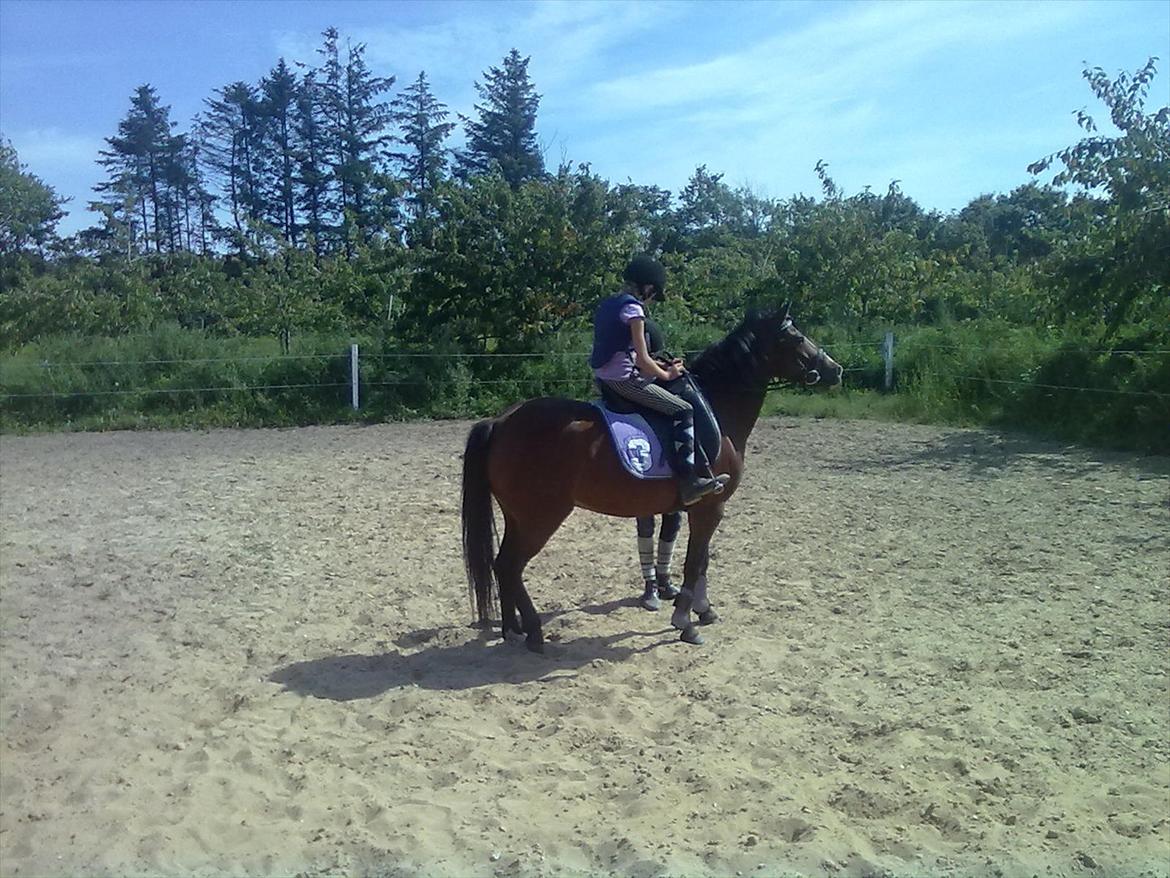 Anden særlig race Bakkelys Lucky Lady<3 - en af de første dage<3  billede 9