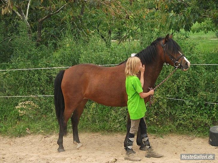 Anden særlig race Bakkelys Lucky Lady<3 - HMS!:-D billede 12