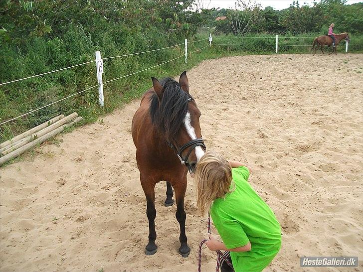 Anden særlig race Bakkelys Lucky Lady<3 - møsmøs*-: billede 13