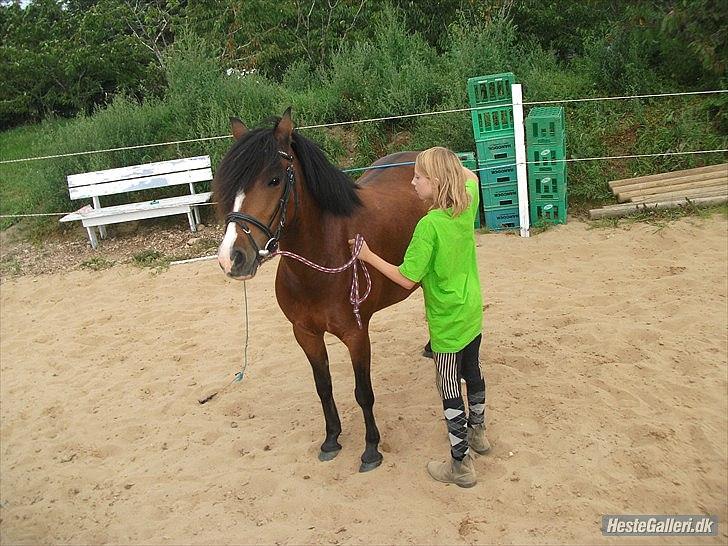 Anden særlig race Bakkelys Lucky Lady<3 - :-D billede 14