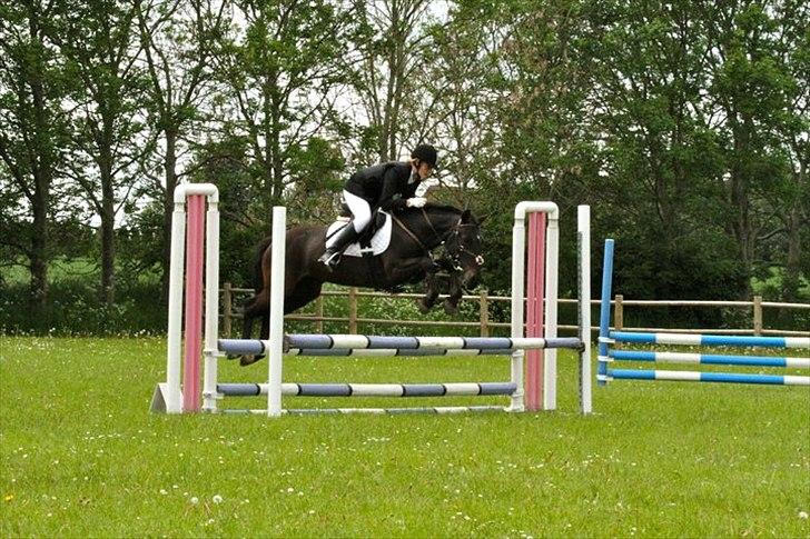 New Forest Banda - D-stævne TNKR d. 29/5-2011
LC billede 9