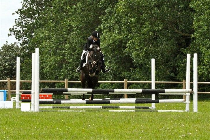 New Forest Banda - D-stævne TNKR d. 29/5-2011 
LC billede 10