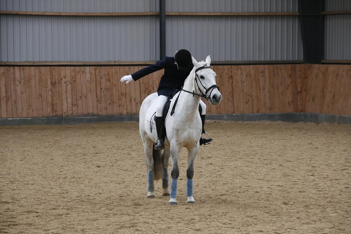 Tysk Sportspony Peanut *R.I.P*  - og jeg hilser..tror jeg! haha xD billede 17