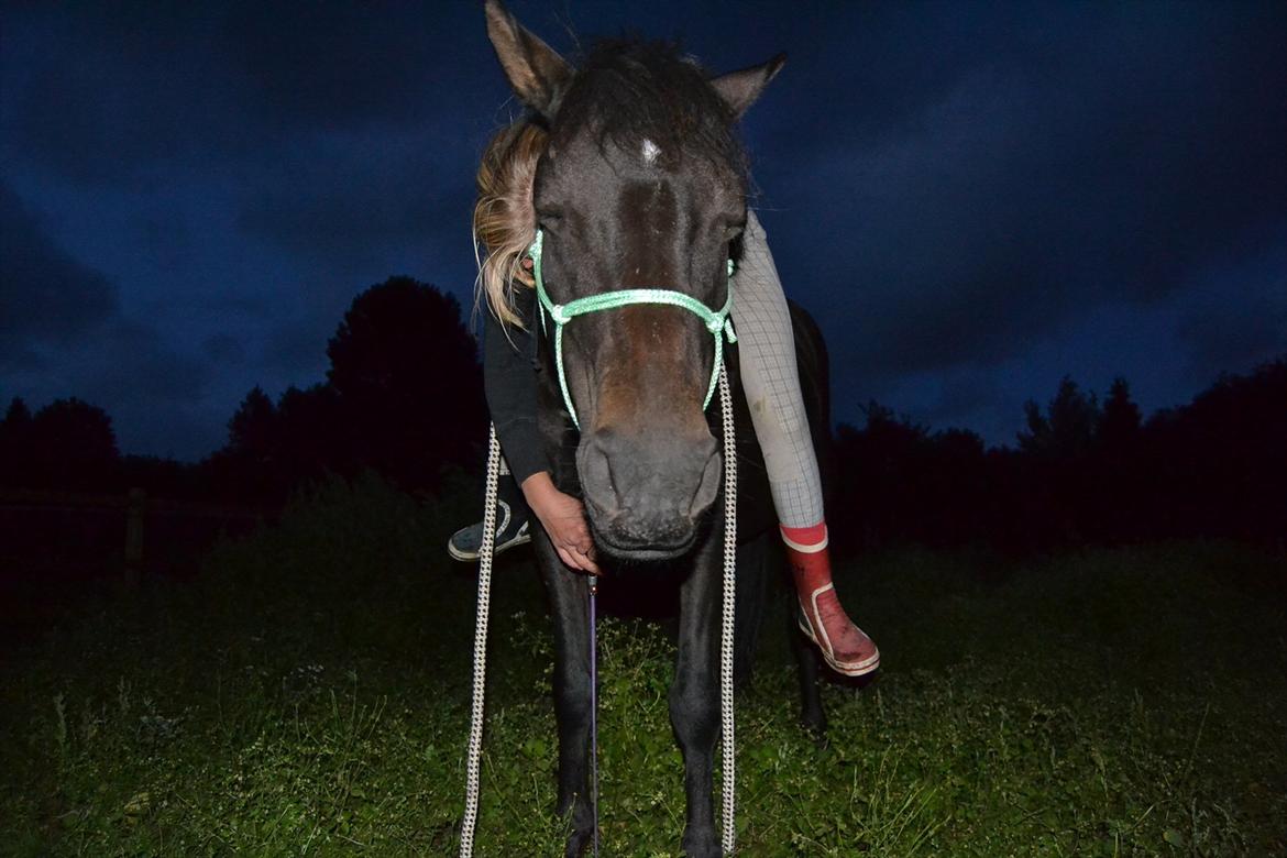 New Forest Banda - Stemningsfuldt! (: billede 12