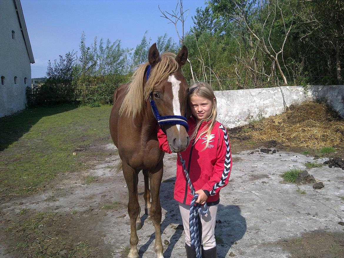 DSP Bentzens Baloo - Emma og Baloo billede 7