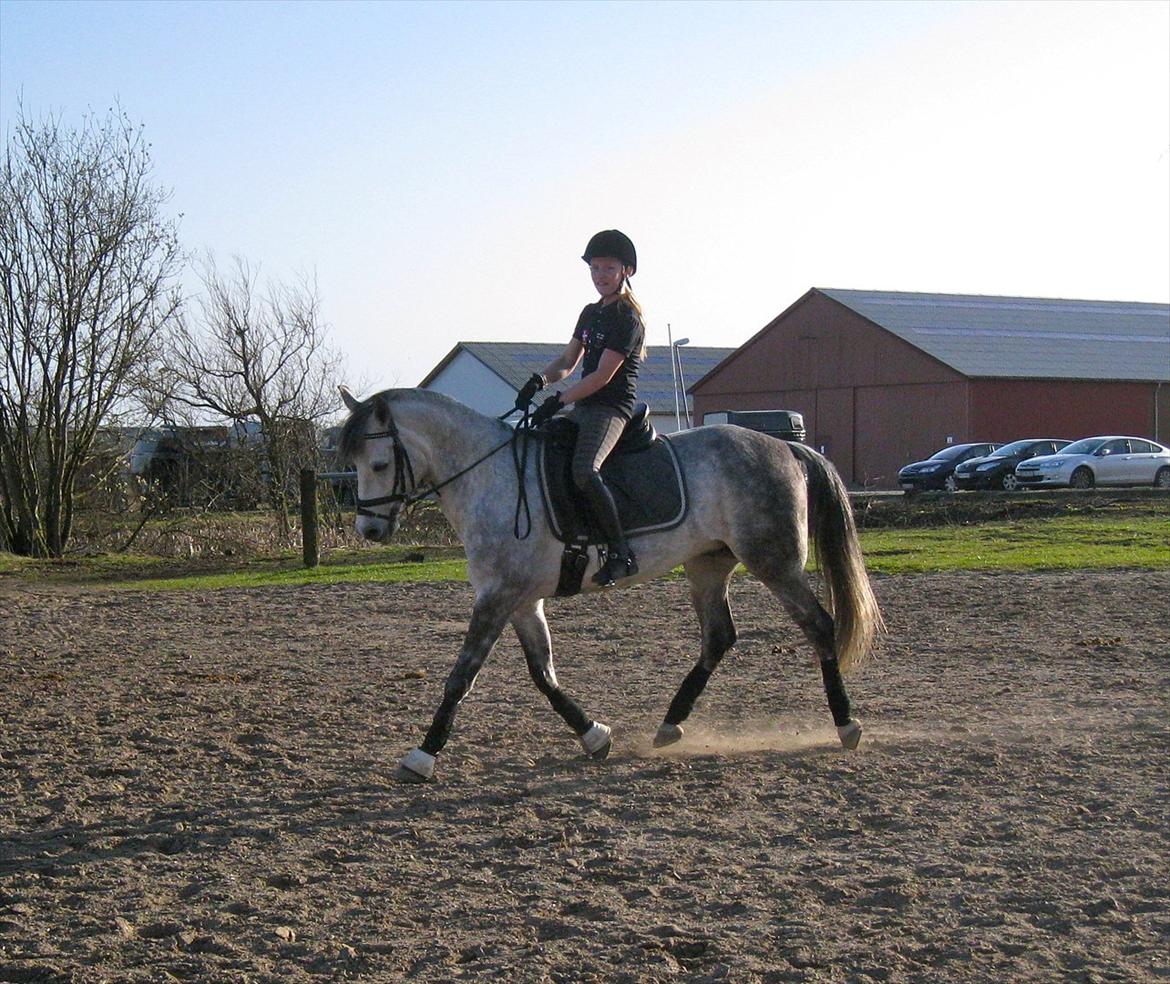 Anden særlig race Charmant  - Chappe og jeg, let træning før stævne :)
Sammen med louise :D billede 3