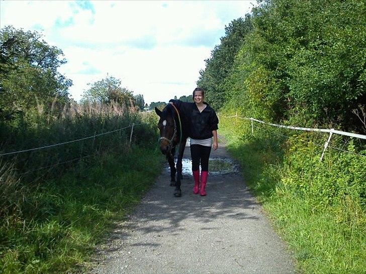Dansk Varmblod Choko Chanell *part* - os to side om side mod resten af verden..<3 billede 13