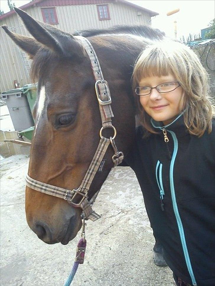 Dansk Varmblod Choko Chanell *part* - min søster og choko a.k.a hesten med de lange ører:O<3 billede 15