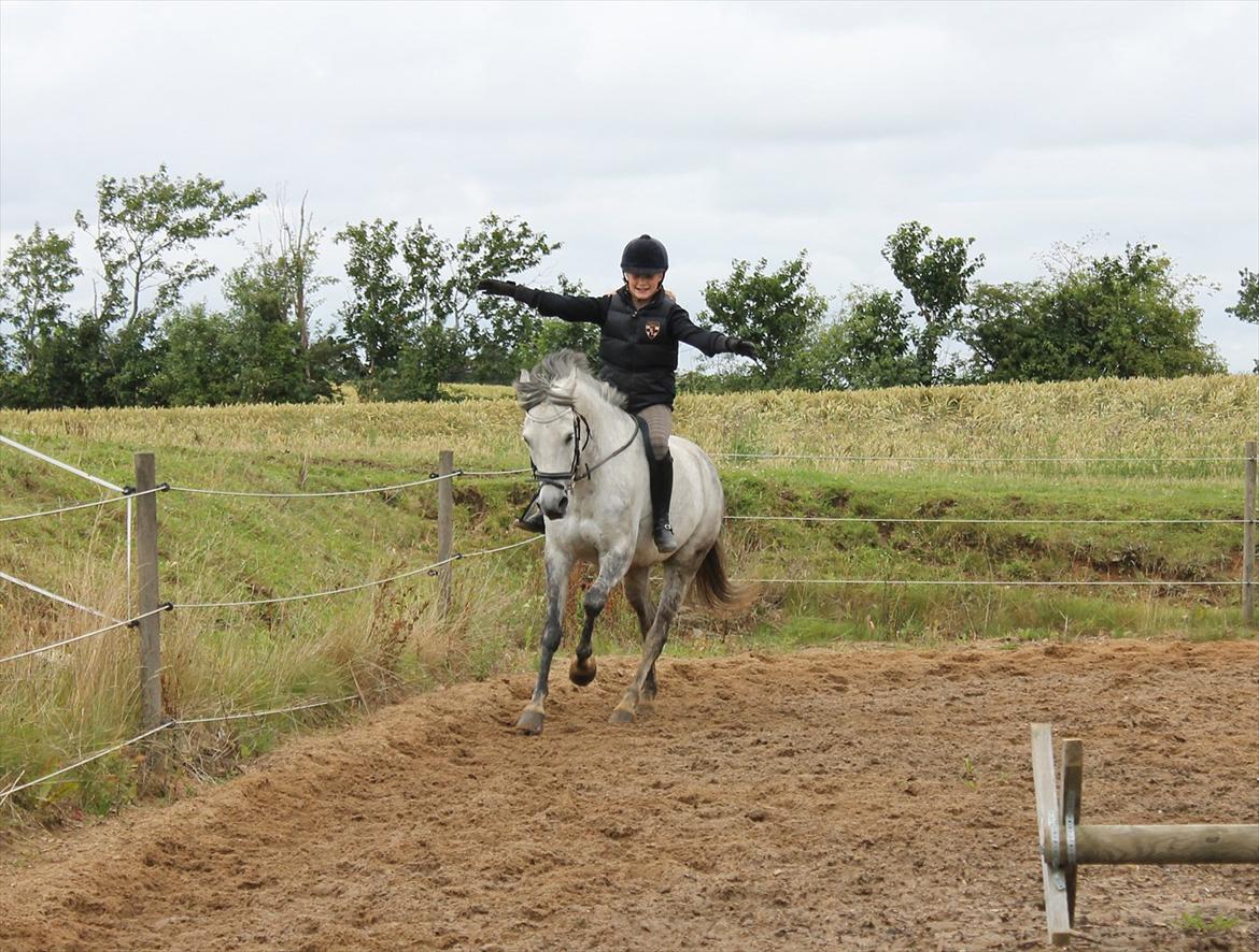 Anden særlig race Charmant  - :-) billede 5