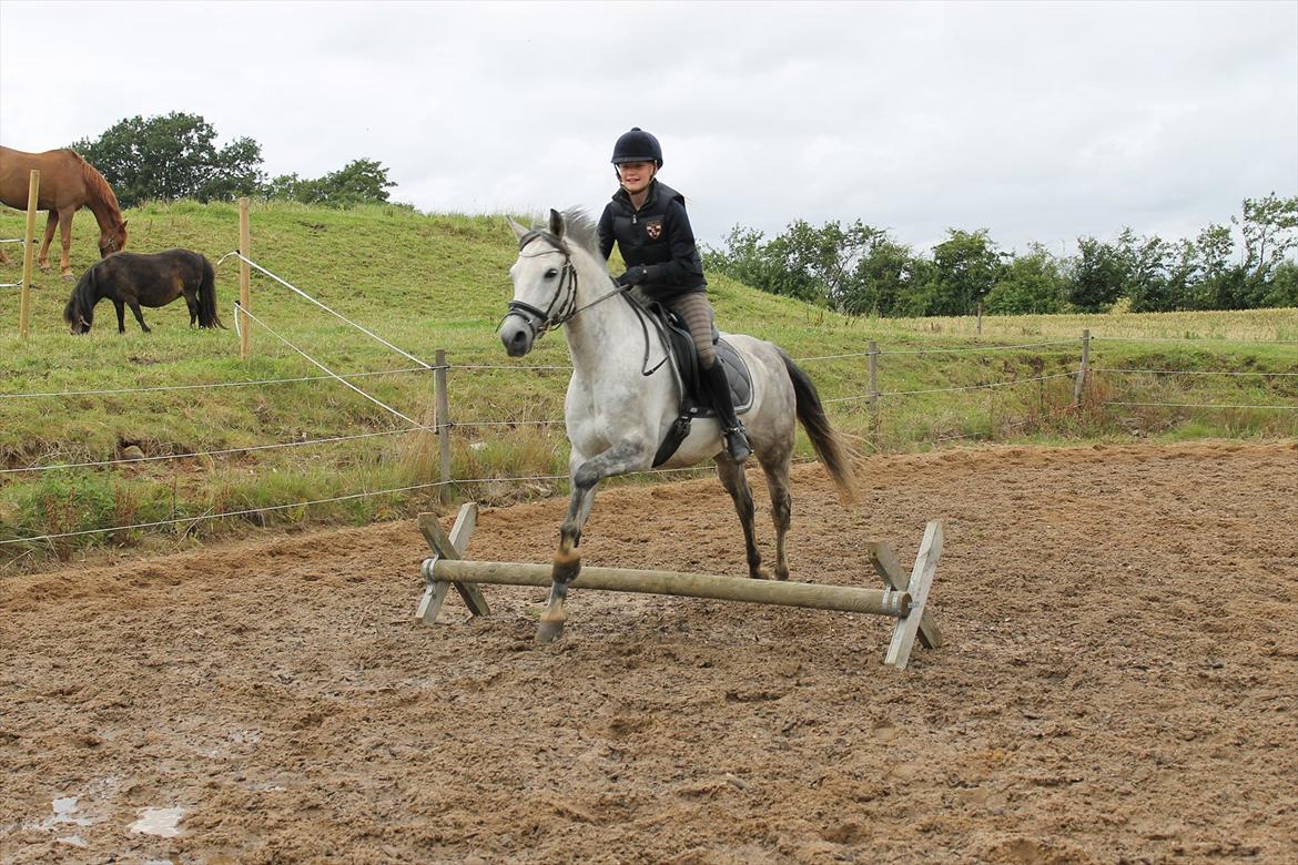 Anden særlig race Charmant  - Utrolig højt spring, ej hehe :-) billede 6