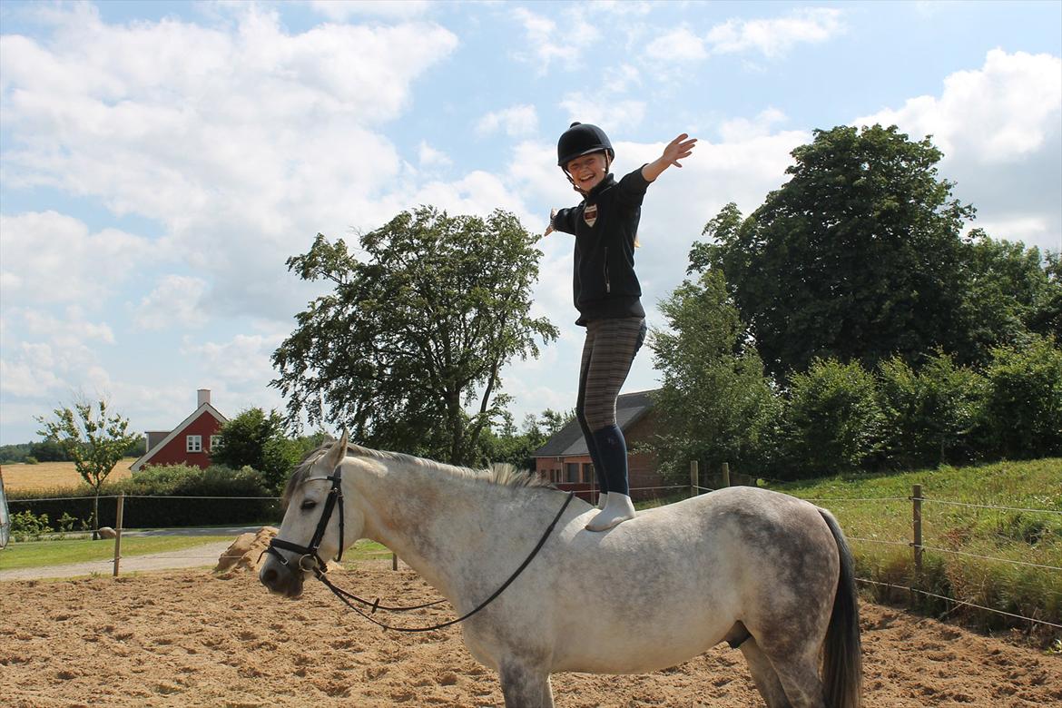 Anden særlig race Charmant  - Haha :-D billede 9