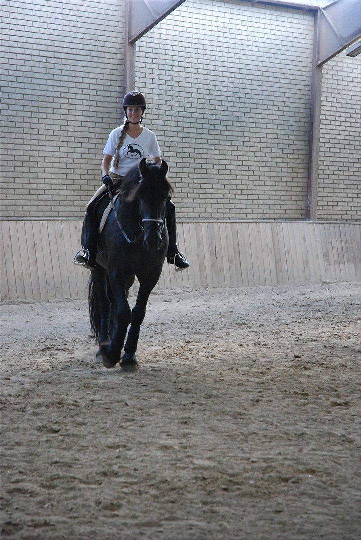 Frieser Luutzen Fan é Feart billede 16