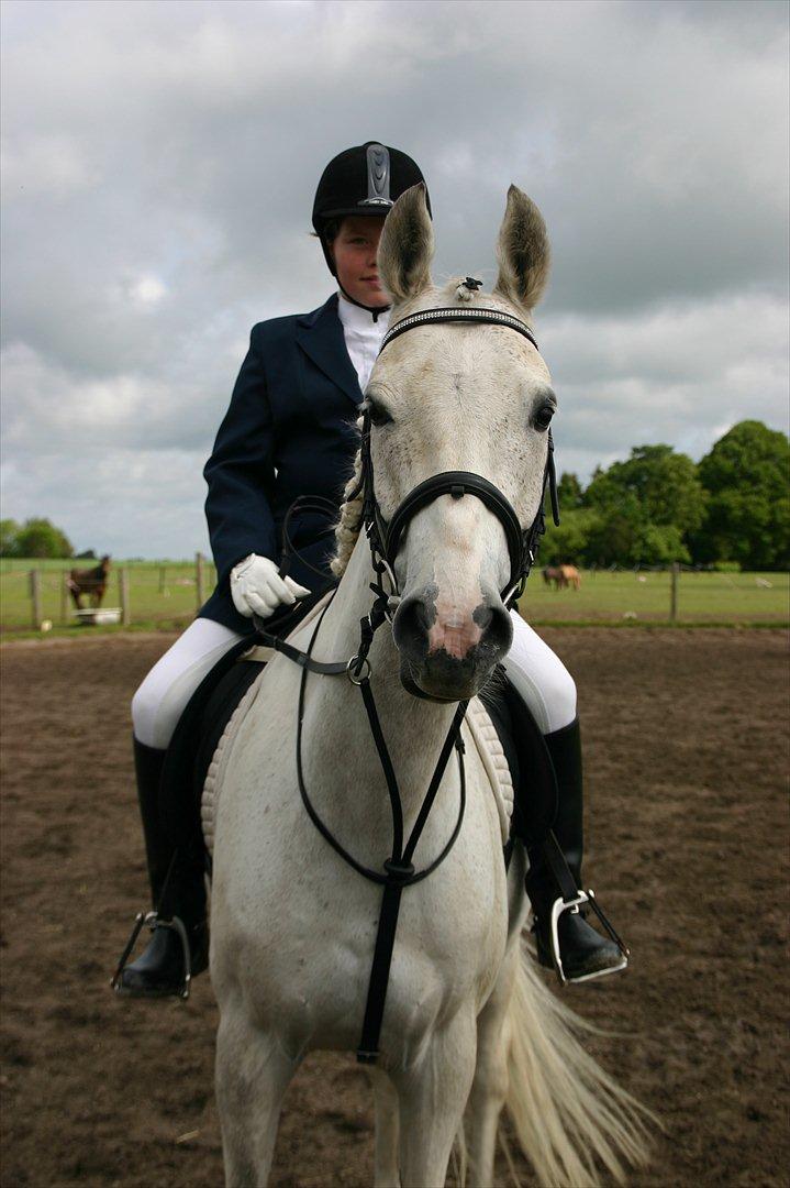 Anden særlig race prumand - Jeg er så glad for af jeg fik ham han er så dejlig af man for lyst til af spise ham.  billede 1