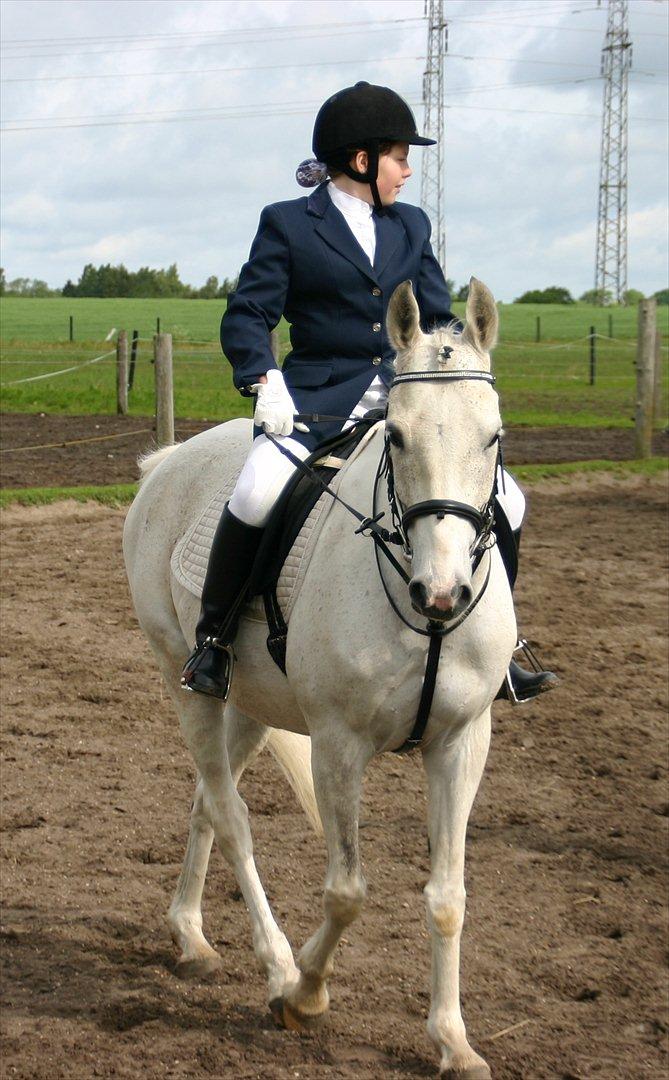 Anden særlig race prumand billede 4