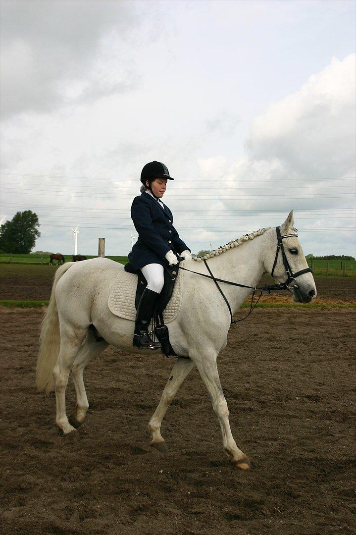 Anden særlig race prumand billede 5