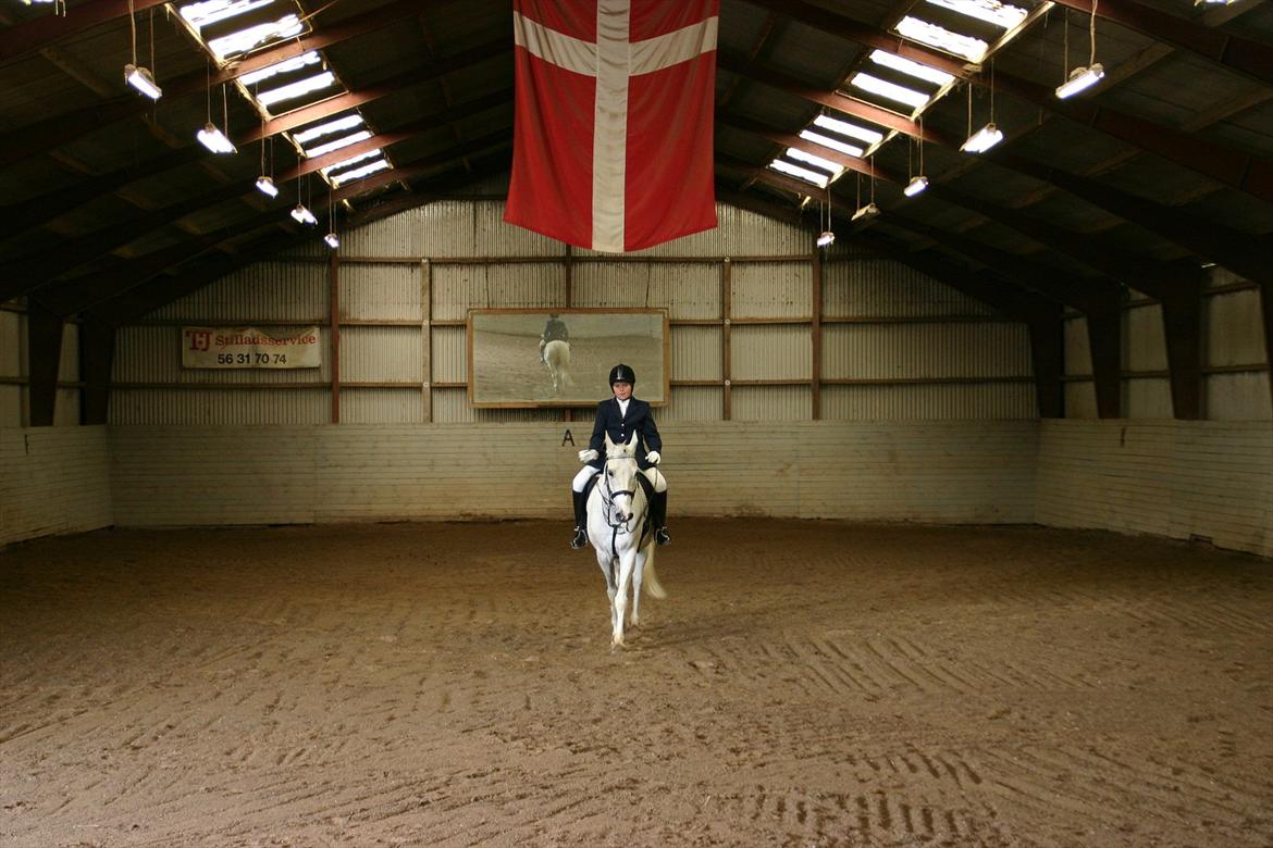 Anden særlig race prumand - til vorse første stævne sammen:) billede 6