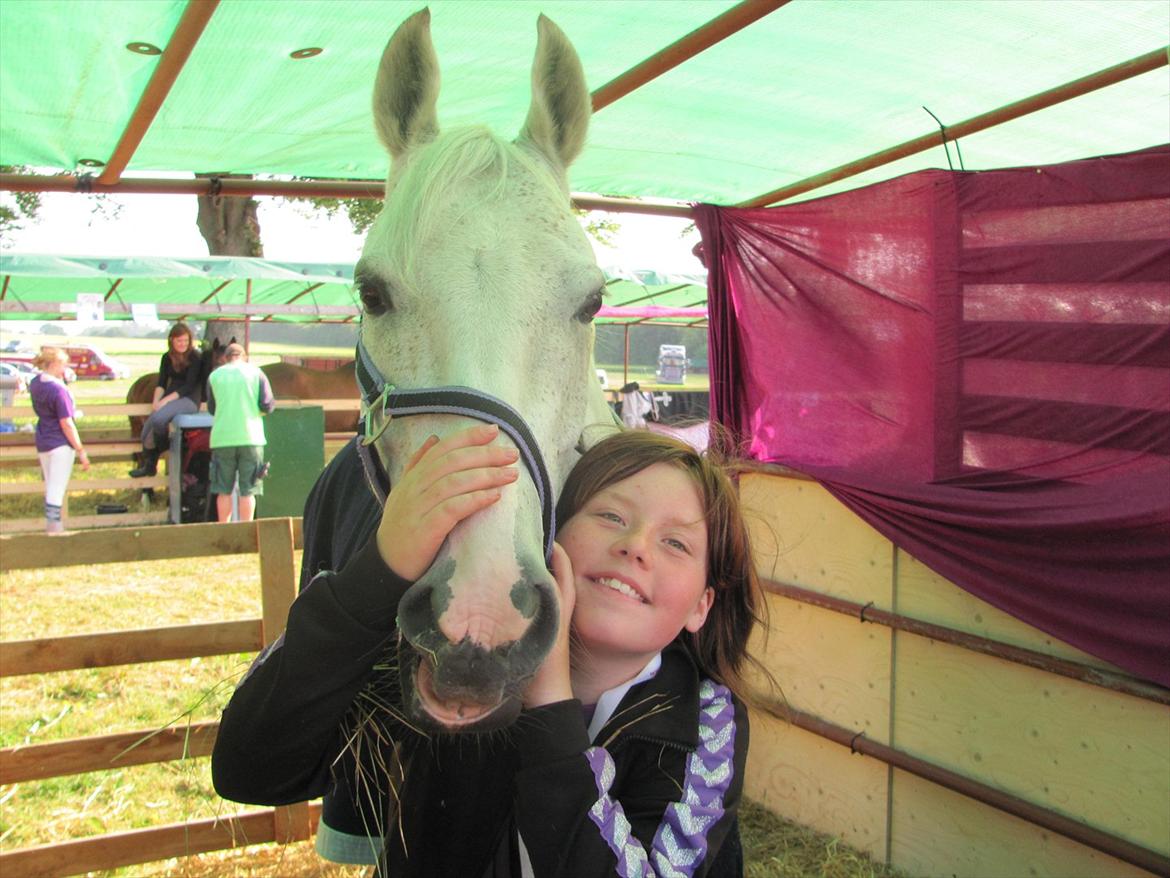 Anden særlig race prumand - på dyreskue billede 3