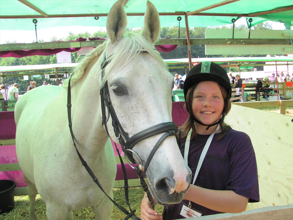 Anden særlig race prumand - på dyreskue billede 8