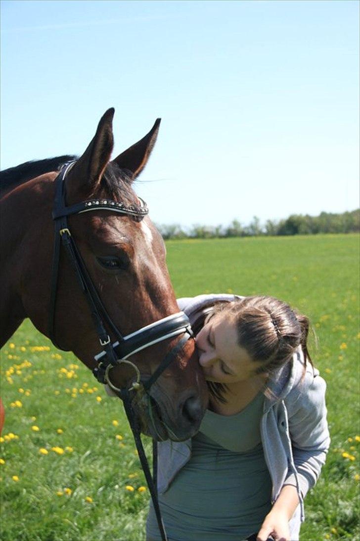 Dansk Varmblod Cato - Ninna og Cato! billede 2