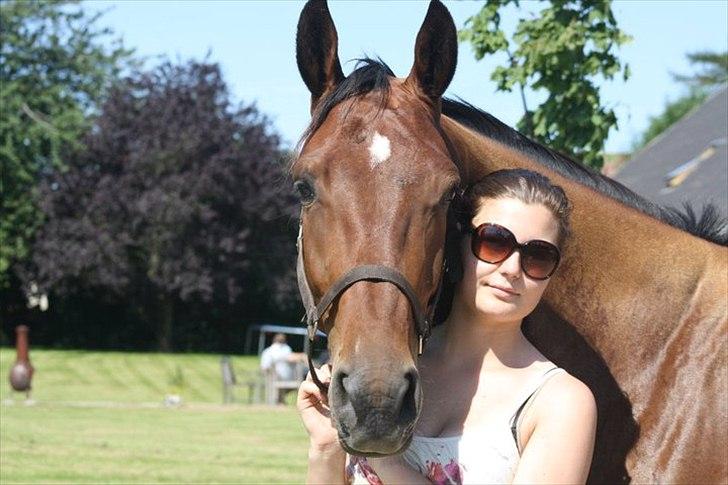 Dansk Varmblod Cato - Ninna og Cato til min 13 års fødselsdag :-D billede 5